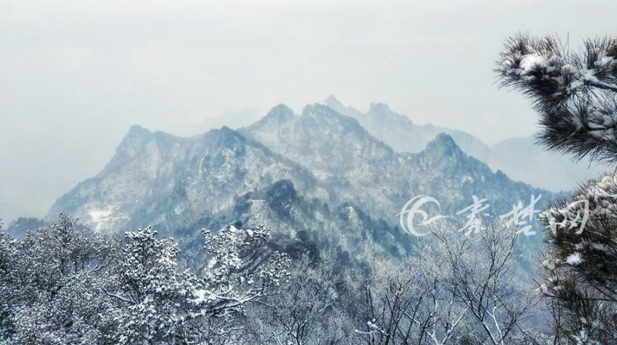 十堰下雪了！武當山仙氣十足（組圖）