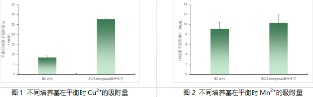 【科技】共生新模式：細(xì)菌纖維素與藍藻聯(lián)手“洗凈”水污染——武漢理工大學(xué)生命科學(xué)學(xué)院最新研究成果解讀(圖1)